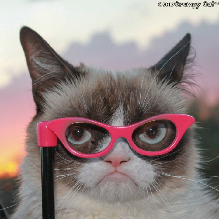 grumpy-cat-glasses-720x720.jpg